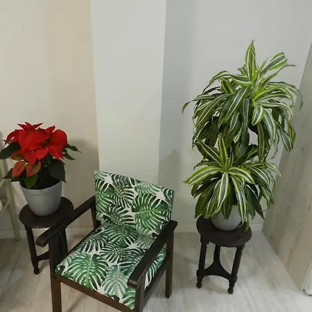 Ferienwohnung El Jardin De Paula Saragossa Exterior foto