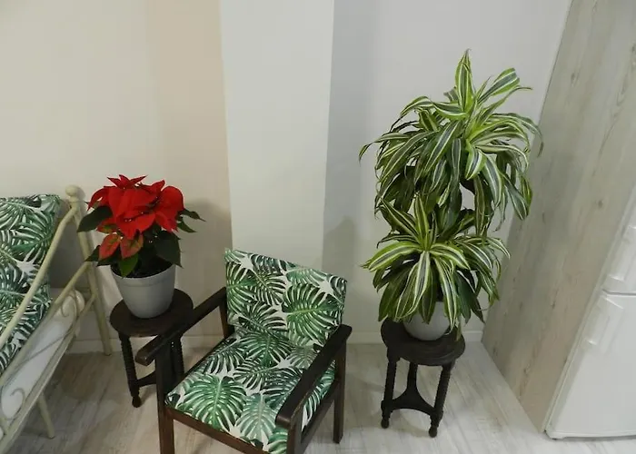 El Jardin De Paula