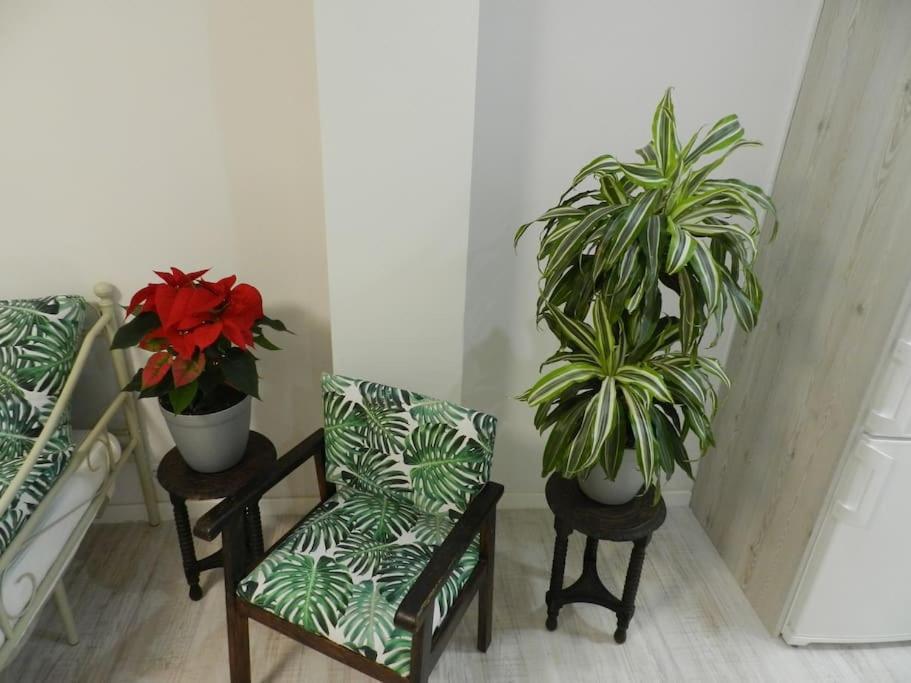El Jardin De Paula Apartment Saragossa